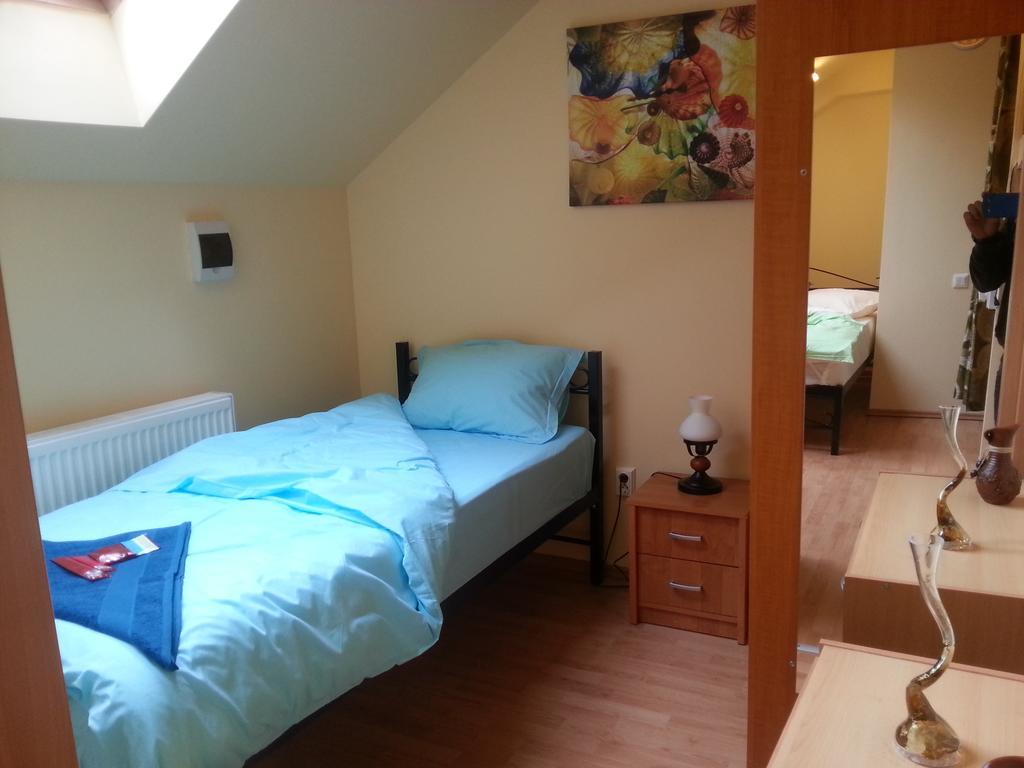 Center Park Apartment Kluž Pokoj fotografie